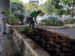 1054 small 10 ribu tanaman hias akan ditanam di jakut