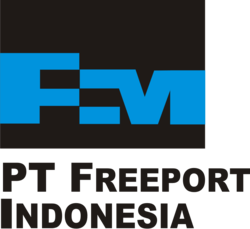 13002 small logo pt freeport