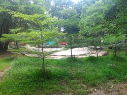 1667 small perawatan taman di jakut terkendala armada
