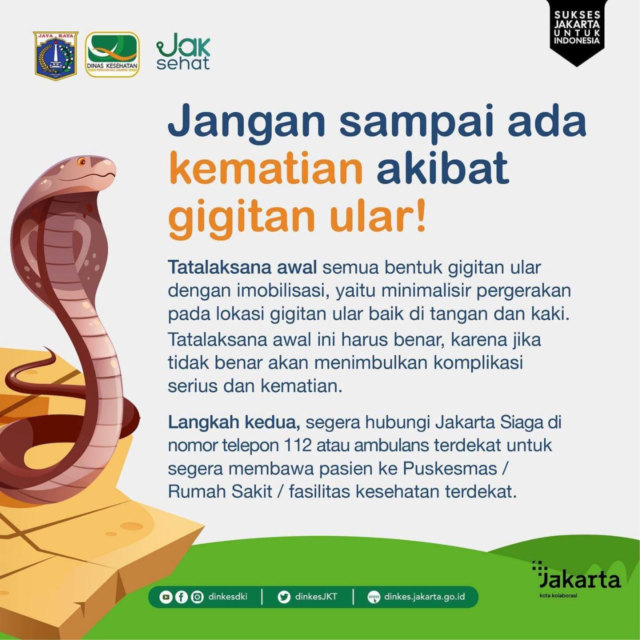 Faqat paypoq kiygan joja