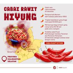 18155 small rawit hiyung