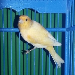 182 small img 20150729 180821