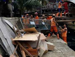 1979 small kandang unggas di bantaran kali ciliwung dibongkar