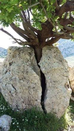 22707 small fb img 1521015365982