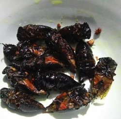 22942 small garengpong dwi yuliana