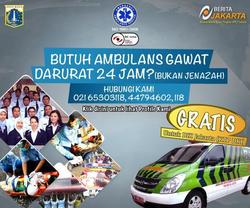 290 small 5497045667