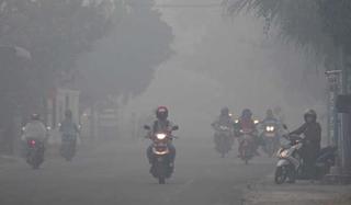 30814 small asap karhutla semakin parah di pontianak penerbangan delay 2 jam sekolah diliburkan