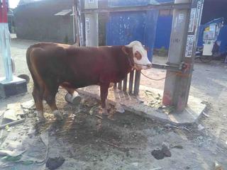 30963 small post 39831 f7a7290f 997f 4bce 9652 bbc9d885a8b5 2018 08 22t08 51 22.687 07 00