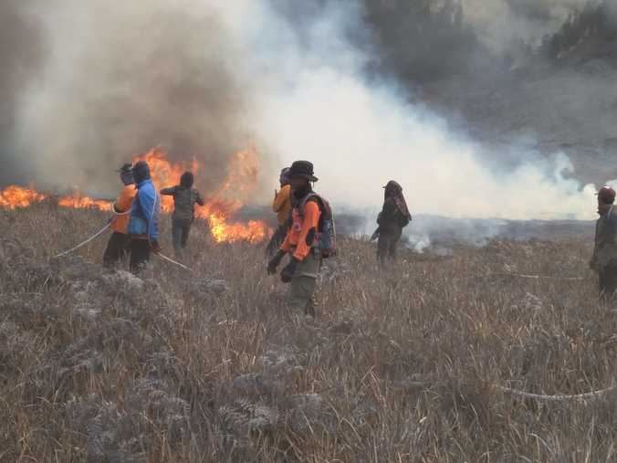 Bukit Teletubbies Terbakar Di Gunung Bromo - Diro Marpaung ...