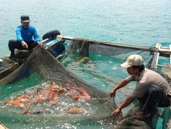 3631 small dki rancang budidaya bagi nelayan eks pasar ikan