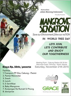 374 small pelestarian mangrove