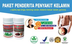38910 small obat kencing nanah baru