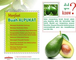 51124 small manfaat alpukat