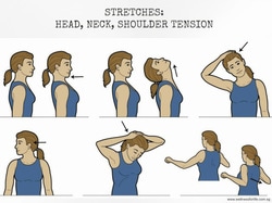 51237 small stretches neck