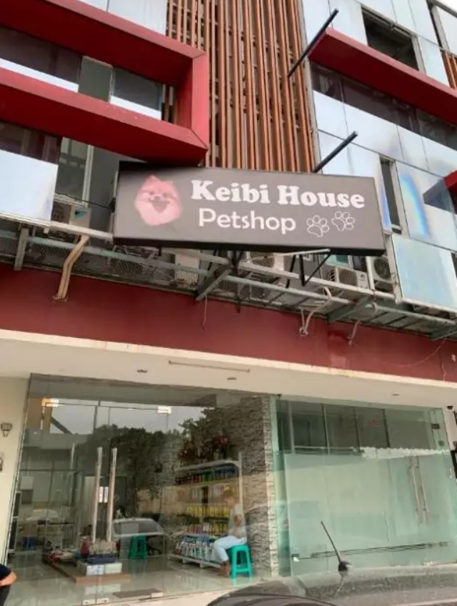 Lowongan Kerja Groomer Di Keibi House Petshop Citra Garden 6 Wawancara Langsung Walk In Inteview Gibran Waluyo 23 Feb 2019 Loker Atmago Warga Bantu Warga
