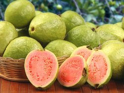 51949 small jambu biji
