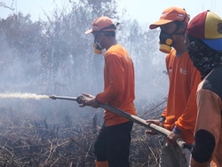 55077 small 10 hektar lahan terbakar di sepakat ii pontianak