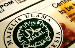 59207 small halal mui