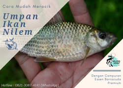 64298 small umpan ikan nilem