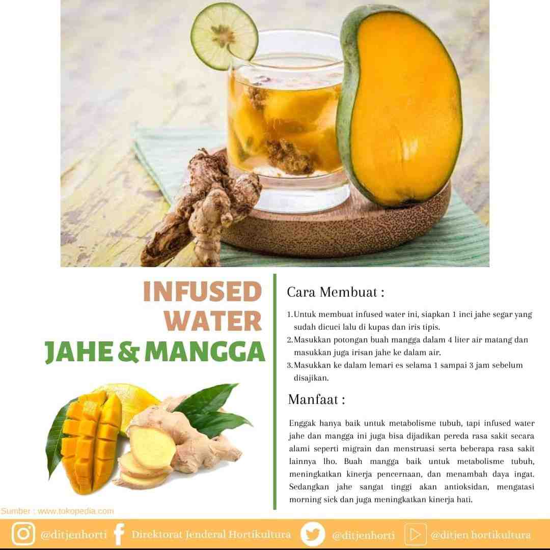 Cara Membuat Serta Manfaat Infused Water Jahe Dan Mangga AtmaGo