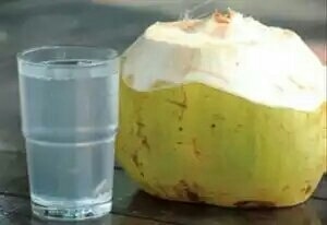 80 Gambar Air Kelapa Muda HD 80 Gambar Air Kelapa Muda HD